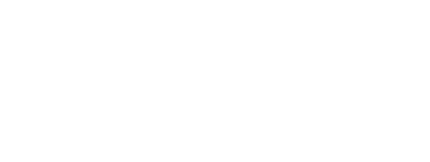 2010